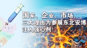国家、企业、市场，三大理由为参展东北安博会注入强心剂！